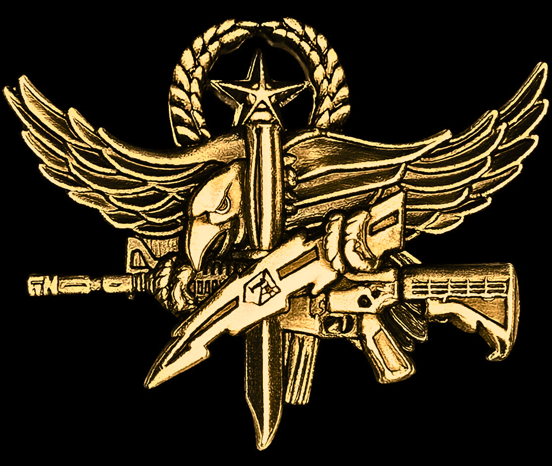 Special Operations-inspired gold insignia